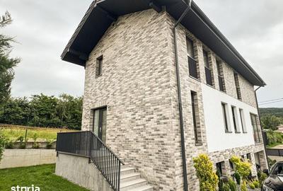 Casă cu 4 camere cu Teren 283 Mp în Făget - 2