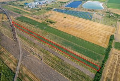 Teren agricol extravilan de 4271 mp, în Vladimirescu - 6