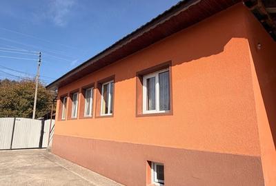 Casă cu Teren 1500 Mp în Săulești