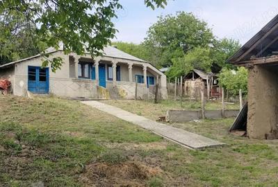 Teren de 15627 mp, în Ocheșești - 8
