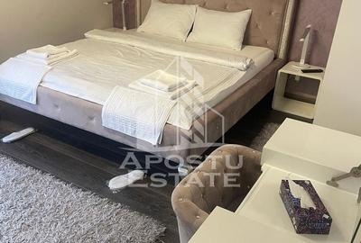 Casă individuală cu 7 camere cu Piscina în Aradului - 24