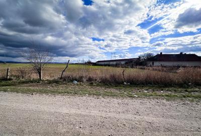 Teren agricol intravilan de 5000 mp, în Hălchiu - 3