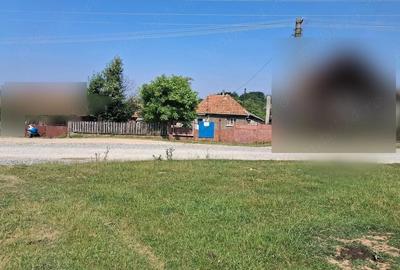 Casă cu Teren 8000 Mp în Zece Hotare