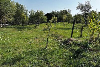 Teren de 6563 mp, în Corbșori