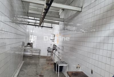 Proprietate specială, de 771 mp, în Jegălia - 4