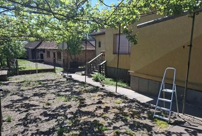 Casă cu 3 camere în Viișoara