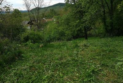 Teren de 714 mp, în Iedera - 3