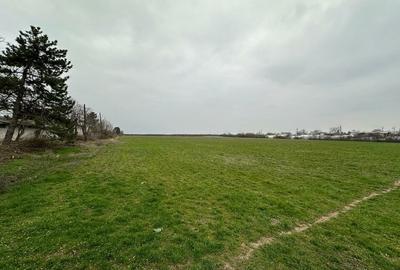 Teren Construcții intravilan de 155000 mp, în Mogoșești - 1