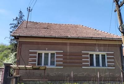 Casă individuală cu 5 camere cu Teren 1050 Mp în Tetișu - 1