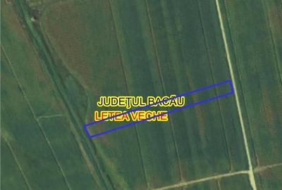 Teren de 3600 mp, în Letea Veche