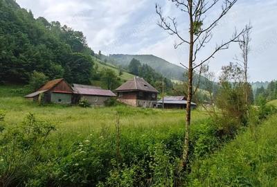 Casă cu 4 camere cu Teren 8700 Mp în Jojei - 2