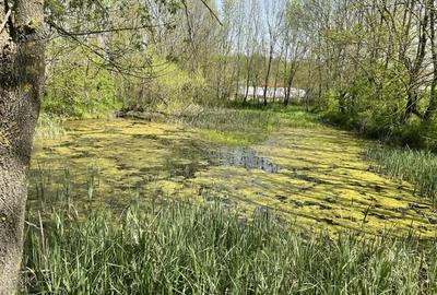 Teren de 5000 mp, în Valea Părului - 8