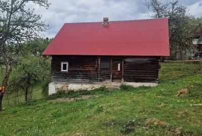 Casă cu 4 camere cu Teren 80 Mp în Horea - 4