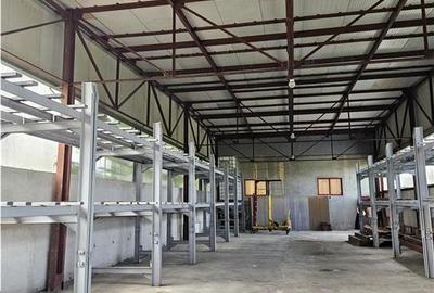 Spațiu industrial, de 2,200 mp, în Mârșa - 19
