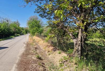 Teren de 3392 mp, în Călinești - 1