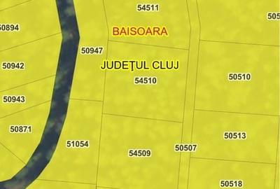 Spațiu comercial, în Muntele Băișorii