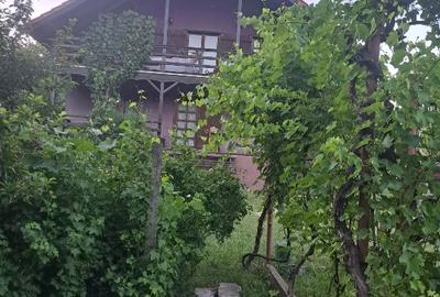 Casă individuală cu 5 camere cu Teren 1202 Mp în Romanești - 4
