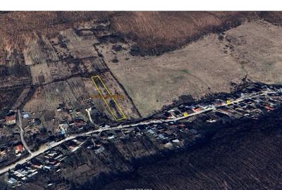 Teren Construcții intravilan de 2501 mp, în Valea Mare-Podgoria - 2