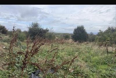 Teren de 350 mp, în Plantelor