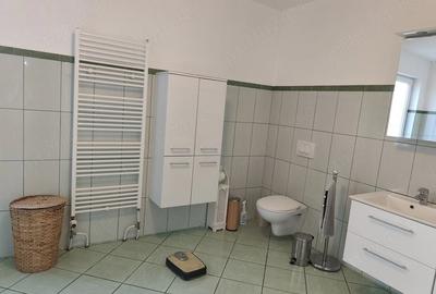 Casă cu 4 camere cu Teren 1106 Mp în Vinga - 2