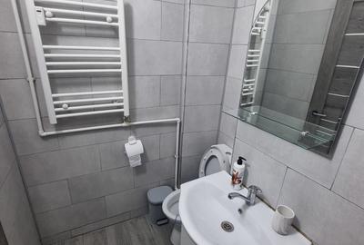 Garsonieră semidecomandată în Craiovița Nouă - 3