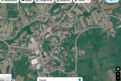 Casă cu 3 camere în Horlești