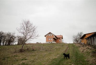 Teren intravilan de 5000 mp, în Berchez - 4