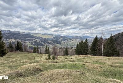 Teren de 10270 mp, în Sadova