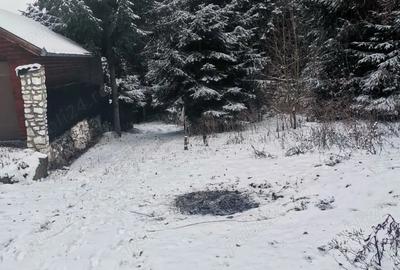 Teren de 1800 mp, în Central - 3