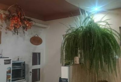Casă cu 3 camere cu Teren 100 Mp în Central