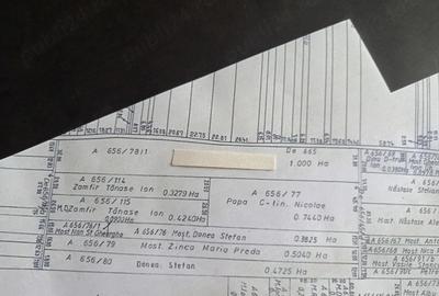 Teren de 10000 mp, în Găgeni - 6