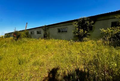 Spațiu industrial, de 1,700 mp, în Turcheș