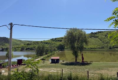 Teren de 1455 mp, în Stâna de Mureș - 6