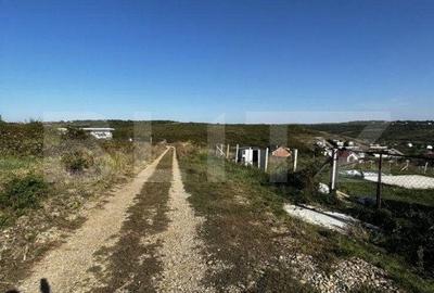 Spațiu comercial, în Podgoria