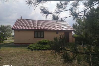 Casă cu 3 camere cu Teren 600 Mp în Sacoșu Turcesc - 12