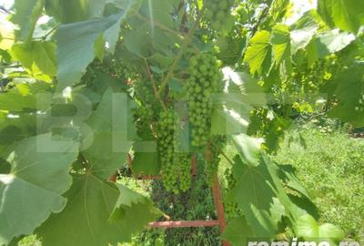 Casă cu 8 camere cu Teren 992 Mp în Cătămărești - 2