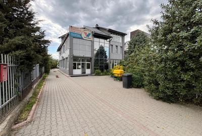 Spațiu comercial, de 685.40002441406 mp, în Calea Severinului