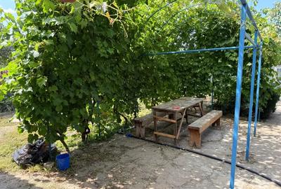 Casă cu 3 camere în Platonești