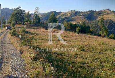 Teren de 3000 mp, în Pleșcuța