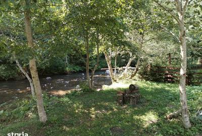 Teren de 1153 mp, în Lunca - 4