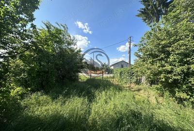 Teren de 11000 mp, în Ghirdoveni - 6