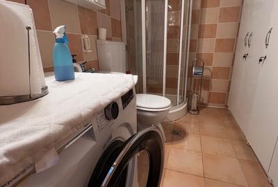 Apartament cu 2 camere decomandat în Dosu Bricii - 6