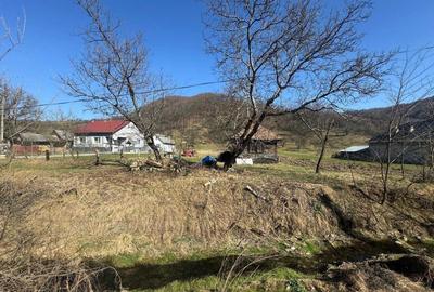 Casă cu 2 camere în Măgoaja - 4