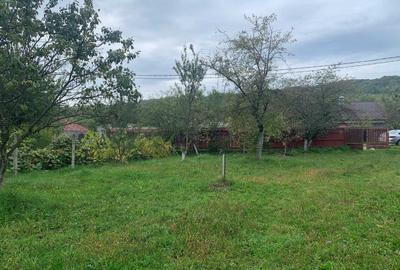 Casă cu 4 camere în Stâlpeni