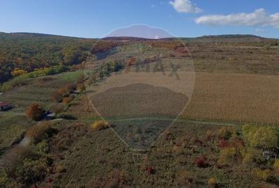 Teren agricol intravilan de 2556 mp, în Pădureni (Chinteni) - 10