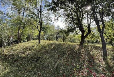 Casă cu 4 camere cu Teren 9800 Mp în Măgura - 1