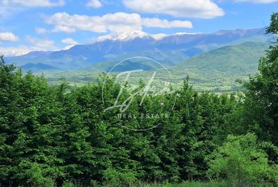 Teren agricol extravilan de 5967 mp, în Tălmaciu - 4