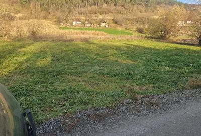 Teren de 1400 mp, în Mociu - 5