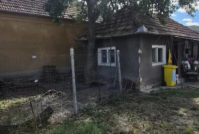 Casă cu Teren 2893 Mp în Brănișca
