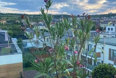 Apartament cu 3 camere semidecomandat, mobilat în Borhanci - 15